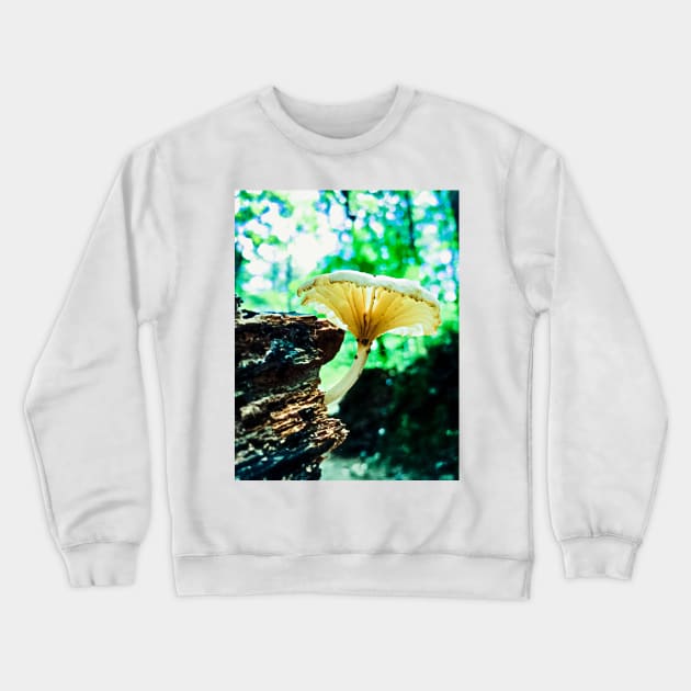 Morning Mushroom Crewneck Sweatshirt by glovegoals